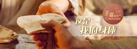 这是我的身体
