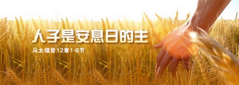 人子是安息日的主