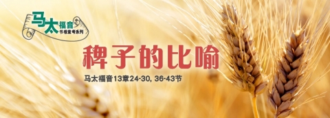 稗子的比喻