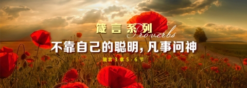 不靠自己的聪明