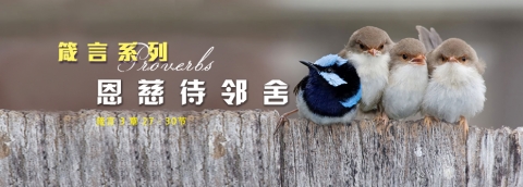 恩慈待邻舍