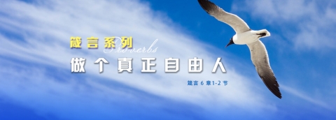 做个真正自由人