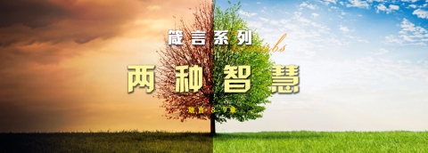 两种智慧