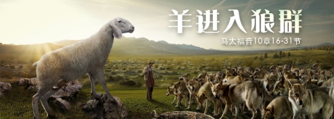羊进入狼群