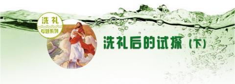 洗礼后的试探 (下)
