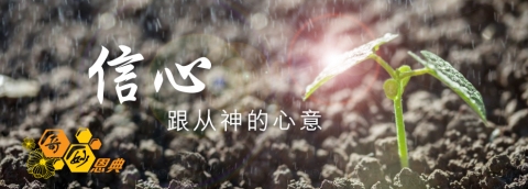 信心—跟从神的心意