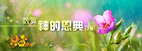 数算神的恩典(1)
