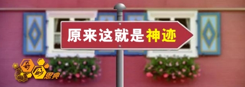 原来这就是神迹