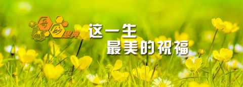 这一生最美的祝福