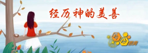 经历神的美善