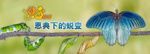 恩典下的蜕变