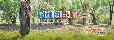 撒种的比喻